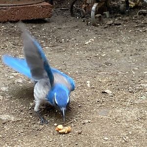 Meet your Posher, Keri